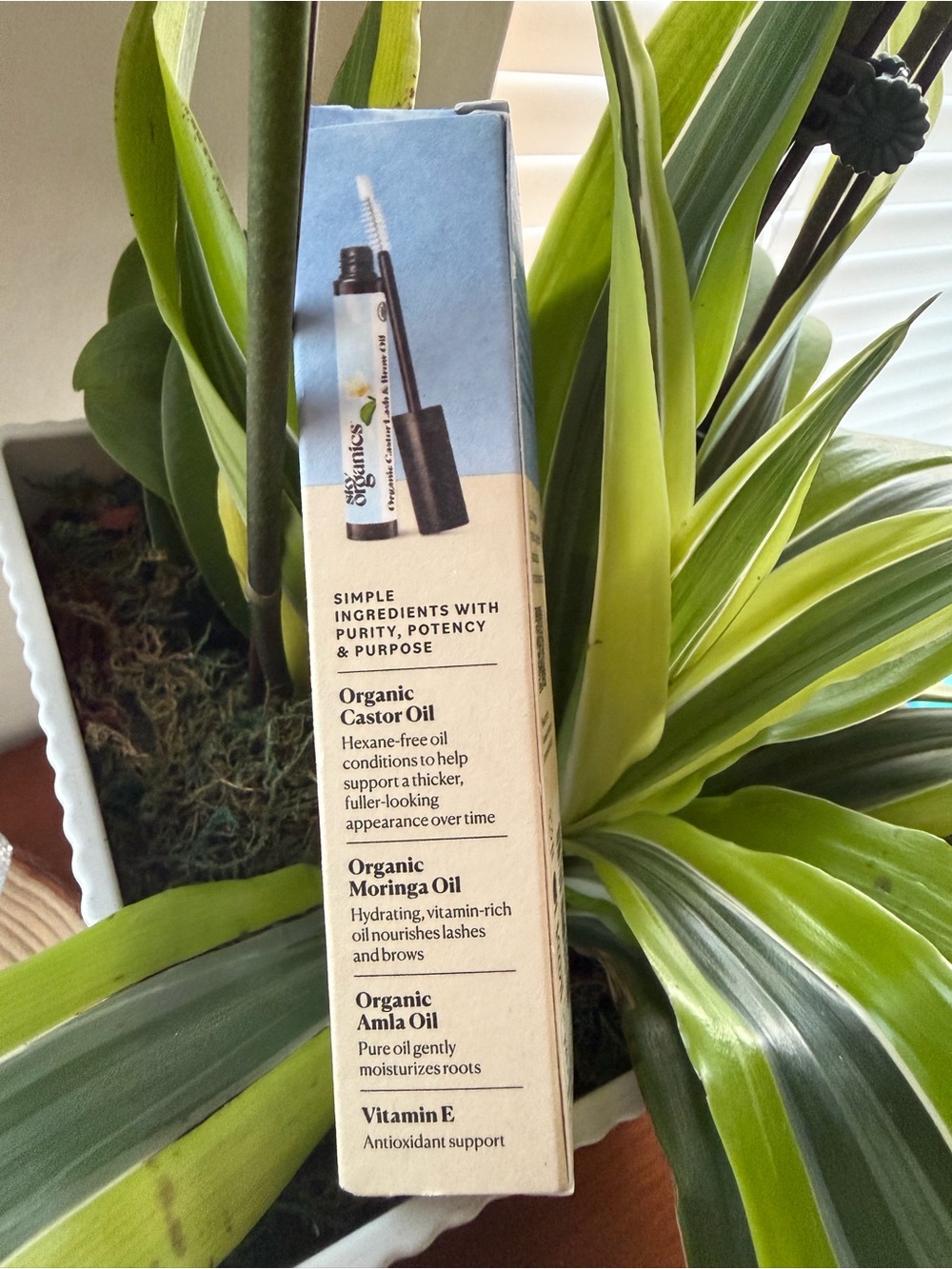 Sky Organics Organic Castor Lash & Brow Oil - Cream and Light Blue - Picture 3 of 5